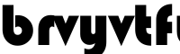 brvyvtfundraisingbytotalconcepts bags